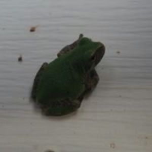 Meet your Posher, Mike